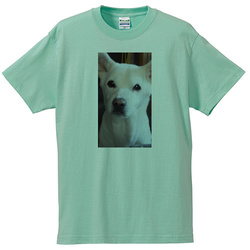 犬no1