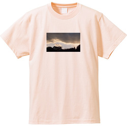 空no1