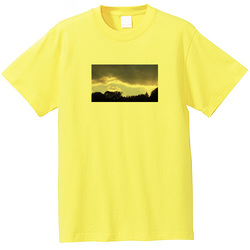 空no1