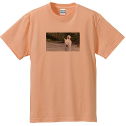 犬no2