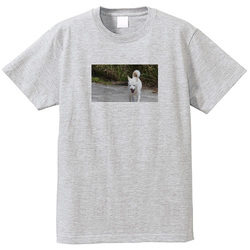 犬no2