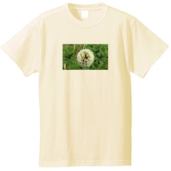 野の花no2