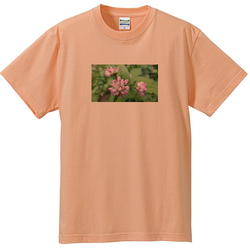 野の花no3