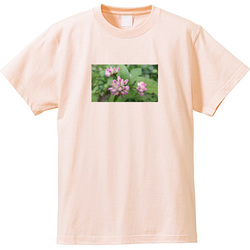 野の花no3