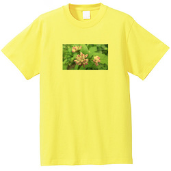 野の花no3