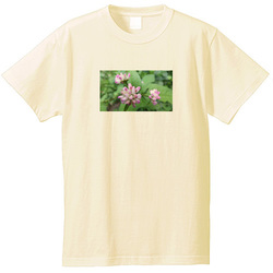 野の花no3