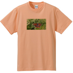 生き物no1