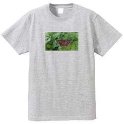 生き物no1