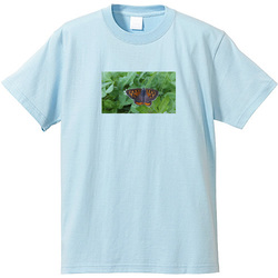 生き物no1
