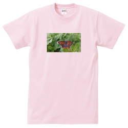 生き物no1