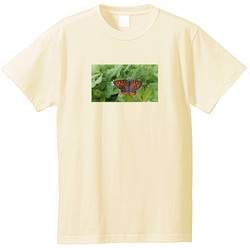 生き物no1