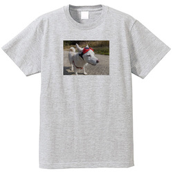犬no3