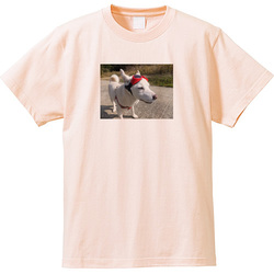 犬no3