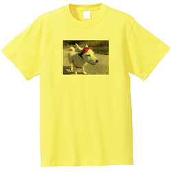 犬no3