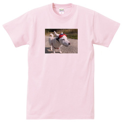 犬no3
