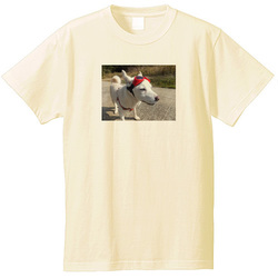 犬no3