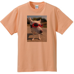 犬no4