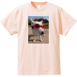 犬no4