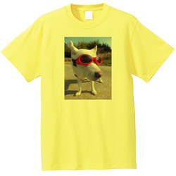 犬no4