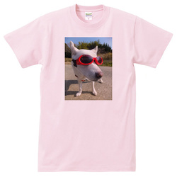 犬no4