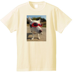 犬no4