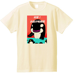 しゃち2