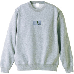 Elysain s