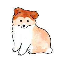 ブランド名/ zucco.