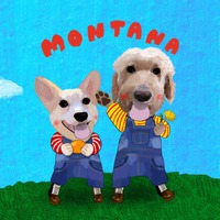 ブランド名/ MONTANA