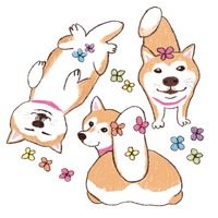 ブランド名/ Ina-na 