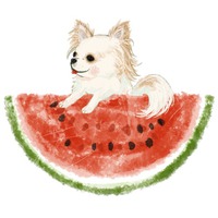 ブランド名/ shoco