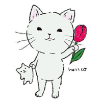 ブランド名/ ne22co