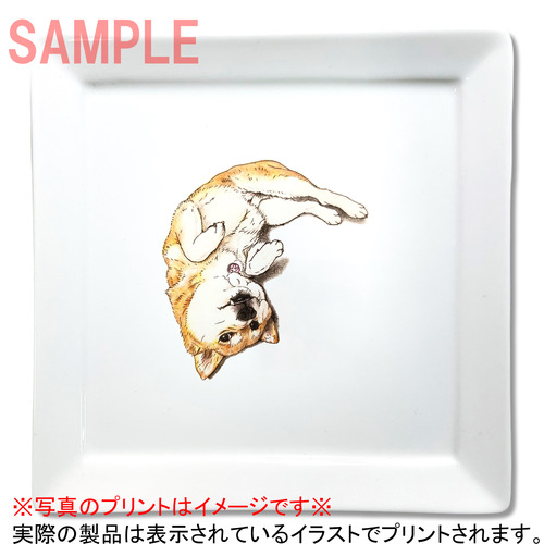 ここ柴コラボ企画10