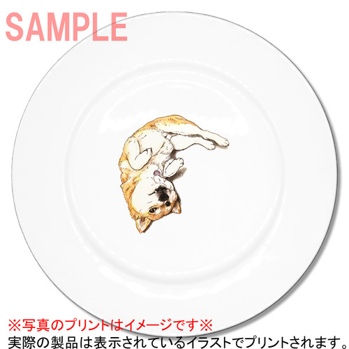 ここ柴コラボ企画14