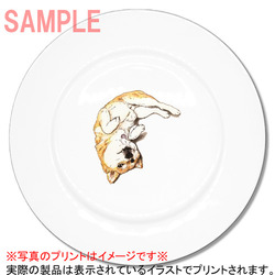 ここ柴コラボ企画14