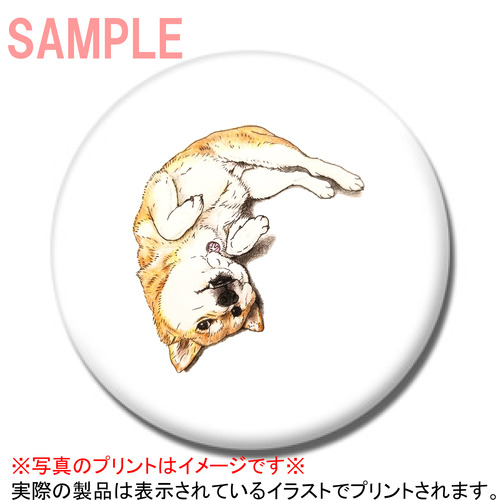 ここ柴コラボ企画13