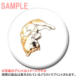 ここ柴コラボ企画13