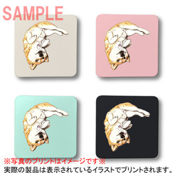 ここ柴コラボ企画11