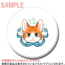 たらコラボ企画2