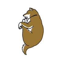 ブランド名/ shimashima(シマシマ)