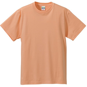 アイテム名/ Ｔシャツ