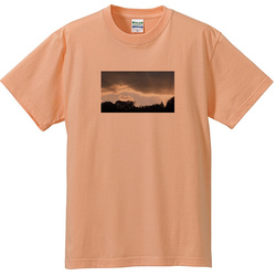 空no1