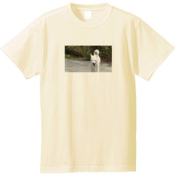 犬no2