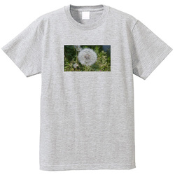 野の花no1