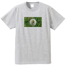 野の花no2
