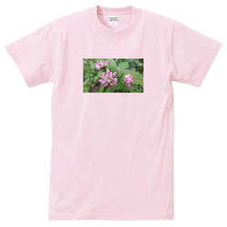 野の花no3