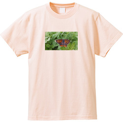 生き物no1