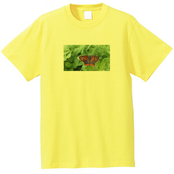 生き物no1