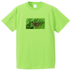 生き物no1