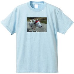 犬no3
